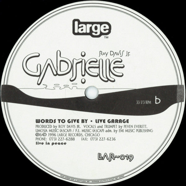 Roy Davis Jr. : Gabrielle (12", RP)