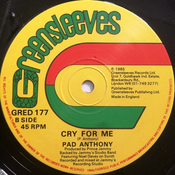 Wayne Smith / Pad Anthony : Sleng Teng Mix Down Remix / Cry For Me (12")