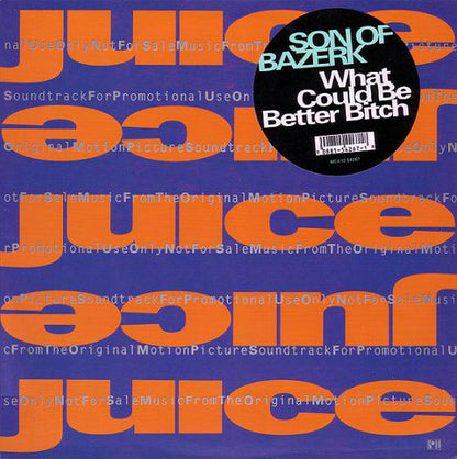 Son Of Bazerk : What Could Be Better Bitch (12")