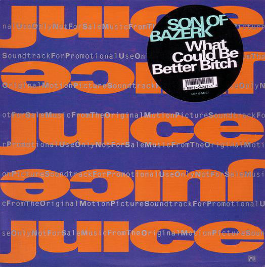 Son Of Bazerk : What Could Be Better Bitch (12")