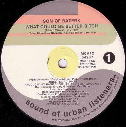 Son Of Bazerk : What Could Be Better Bitch (12")
