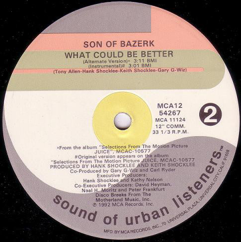 Son Of Bazerk : What Could Be Better Bitch (12")
