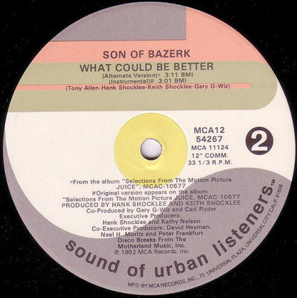 Son Of Bazerk : What Could Be Better Bitch (12")