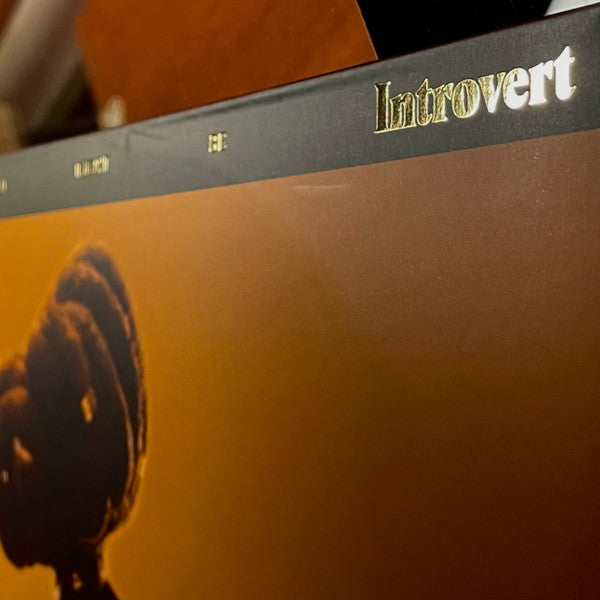 Little Simz : Sometimes I Might Be Introvert (2xLP, Album, Ltd, Cle)