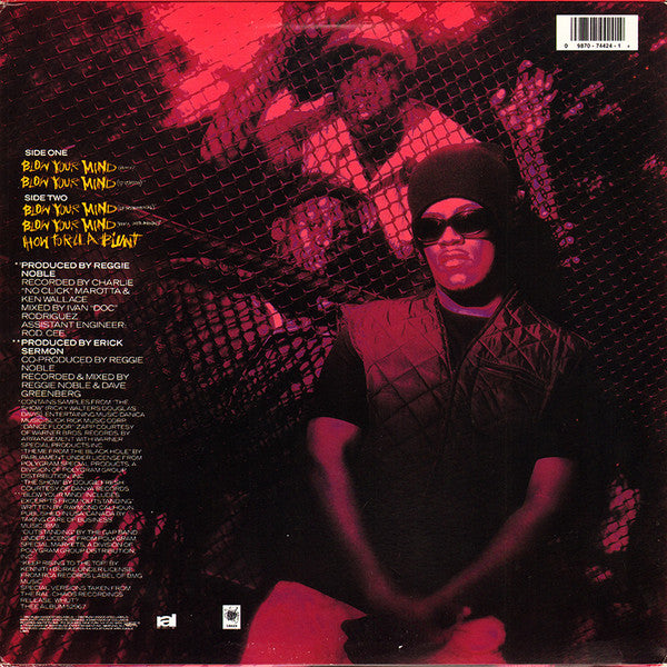 Redman : Blow Your Mind (12")