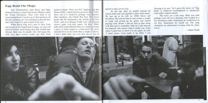 Beastie Boys : Anthology: The Sounds Of Science (2xCD, Comp)