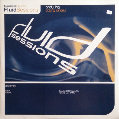 Andy Ling : Calling Angels (Disc Three) (12")
