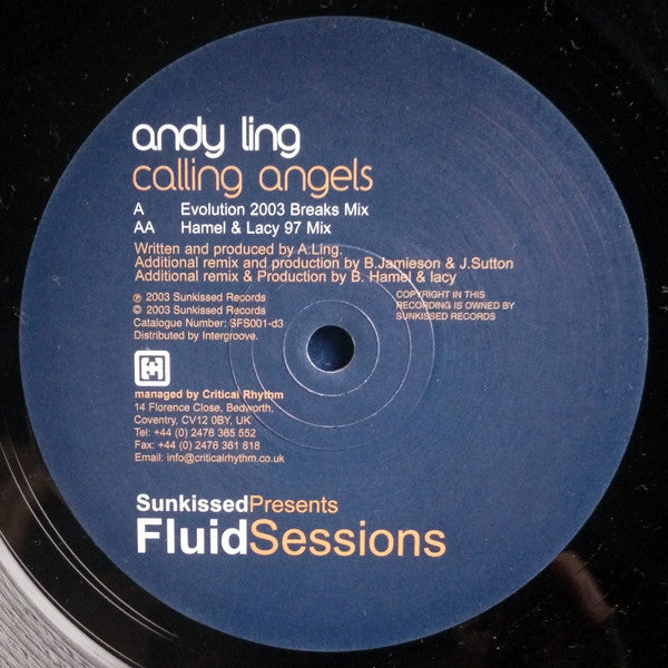 Andy Ling : Calling Angels (Disc Three) (12")