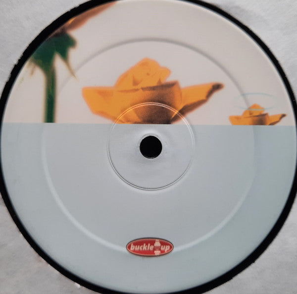 R.O.O.S. : Body, Mind & Spirit (12")