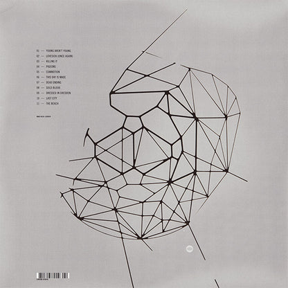 The Hundred In The Hands : The Hundred In The Hands (LP, Album)