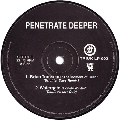 Various : Penetrate Deeper (2x12", Comp)