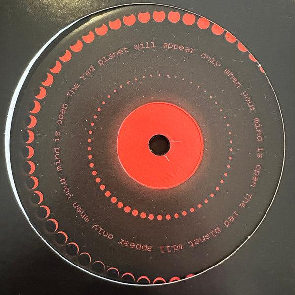 The Martian : The Long Winter Of Mars (12", RE, RM)