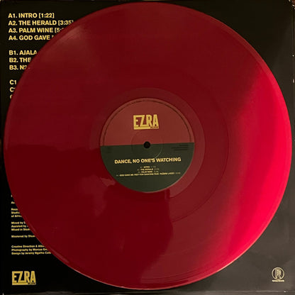 Ezra Collective : Dance, No One's Watching (2xLP, Album)