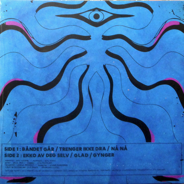 Flammer Dance Band : Gynger (LP, Album)