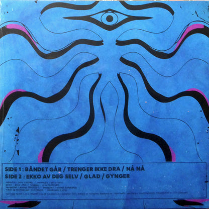 Flammer Dance Band : Gynger (LP, Album)