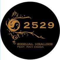 2529 Feat. Rah Digga : Sexual Healing (12")