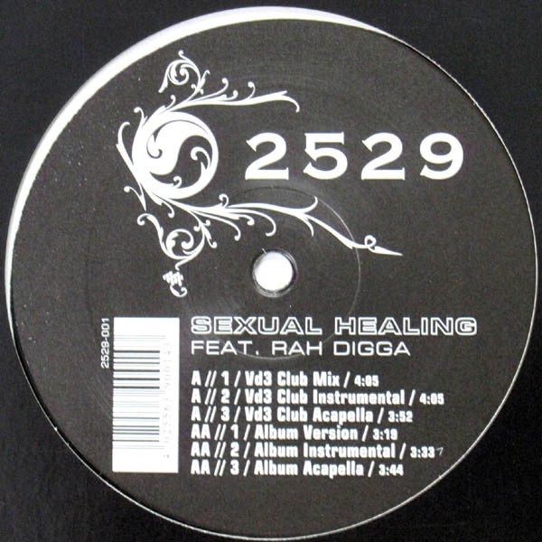 2529 Feat. Rah Digga : Sexual Healing (12")