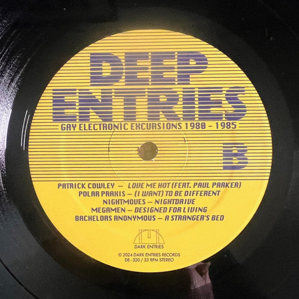 Various : Deep Entries (Gay Electronic Excursions 1980-1985) (LP, Comp, RM)