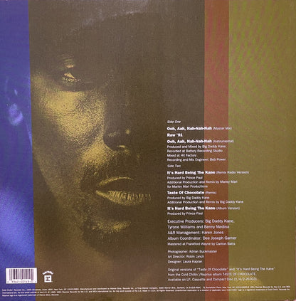 Big Daddy Kane : Raw '91 (12", Maxi)