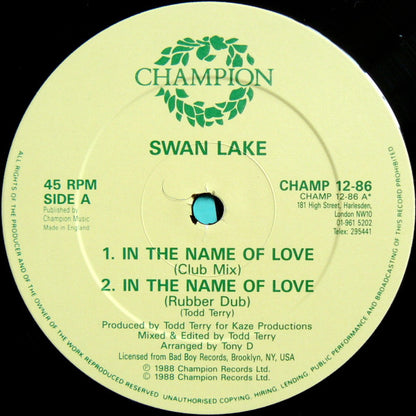 Swan Lake : In The Name Of Love / The Dream (12")