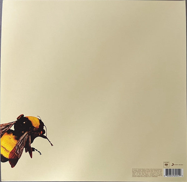 Tyler, The Creator : Scum Fuck Flower Boy (2xLP, Album, Gat)