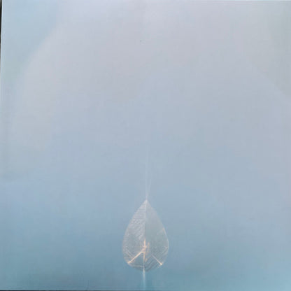 Purelink : Faith (LP, Album)