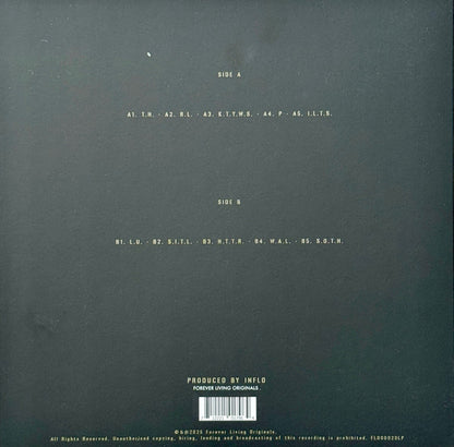 Sault : 10 (LP, Album)