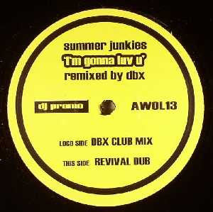 Summer Junkies : I'm Gonna Luv U (D.B.X. Remixes) (12", Promo)
