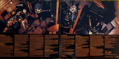 Beastie Boys : Check Your Head (2xLP, Album, RE, RM, 180)