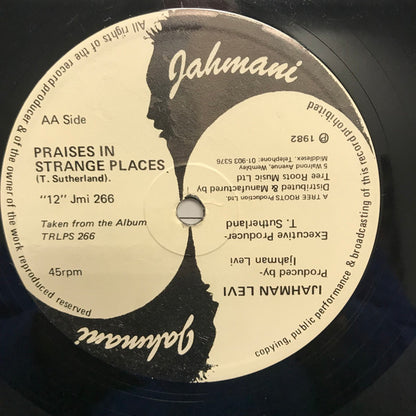 Ijahman Levi : Closer To You / Praises In Strange Places (12")