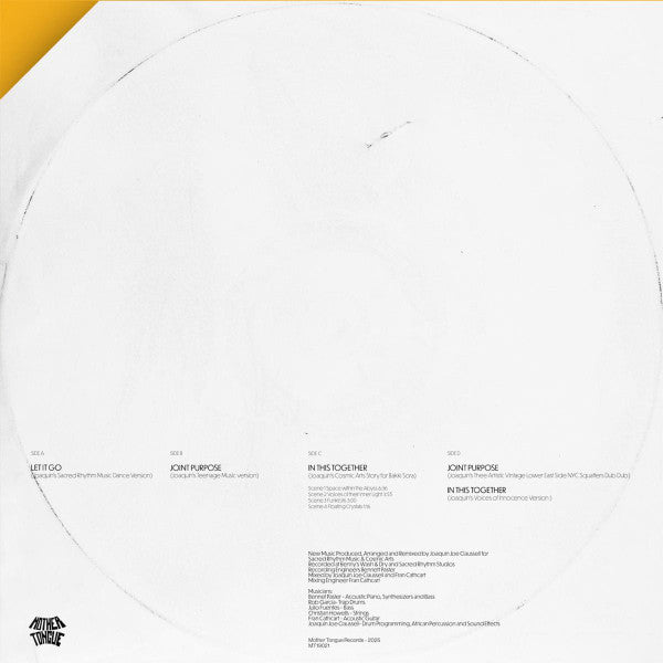 Patrick Gibin : Let It Go / Joint Purpose / In This Together (The Joaquin Joe Claussell Remixes) (2x12")