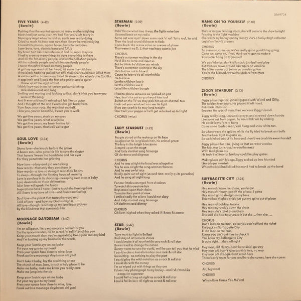 David Bowie : The Rise And Fall Of Ziggy Stardust And The Spiders From Mars (LP, Album, RE, RM, RP, 180)