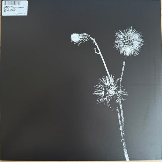 Jon Dasilva & Skyskrapa Feat. Donald Waugh : Sun Brings Joy (12")