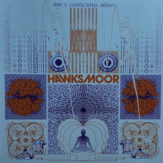 HAWKSMOOR : Am I Conscious Now? (LP, Album)