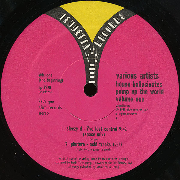 Various : House Hallucinates - Pump Up The World Volume One (2xLP)