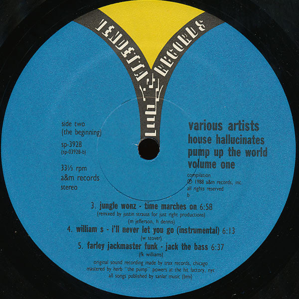 Various : House Hallucinates - Pump Up The World Volume One (2xLP)