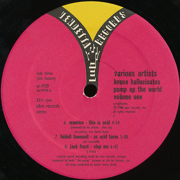 Various : House Hallucinates - Pump Up The World Volume One (2xLP)