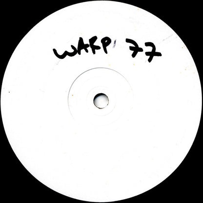 Two Lone Swordsmen : Tiny Reminders (12", Promo, W/Lbl)