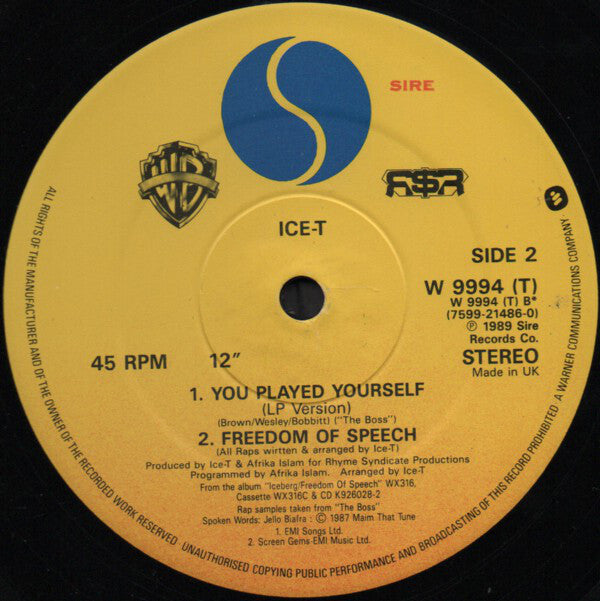 Ice-T : You Played Yourself (12")