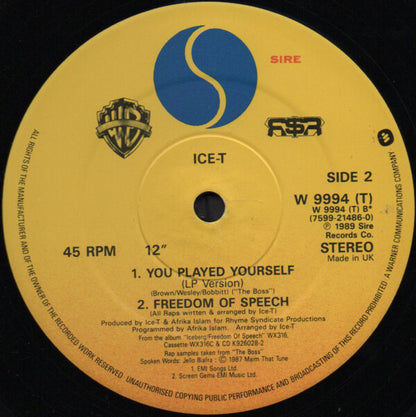 Ice-T : You Played Yourself (12")