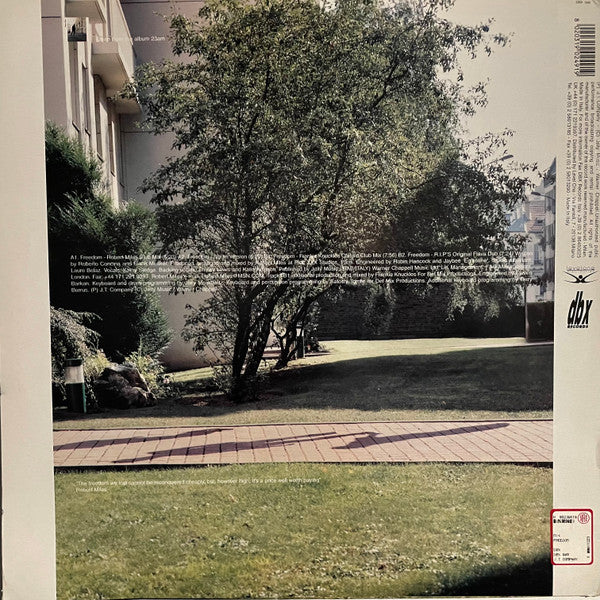 Robert Miles Featuring Kathy Sledge : Freedom (12")