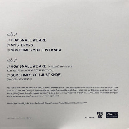 Pollyn : Pieces In Patterns EP (12")
