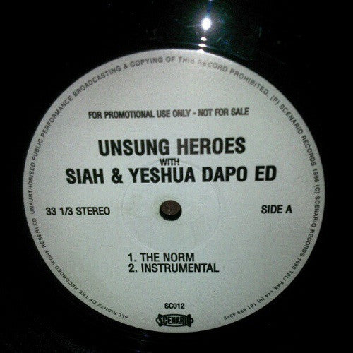 Unsung Heroes : The Norm / Transatlantic (12", Promo)