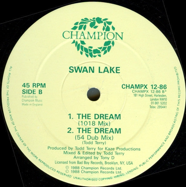 Swan Lake : In The Name Of Love (Noise Boys Remix) (12")