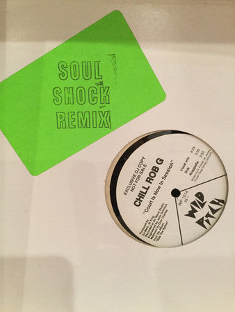 Chill Rob G : Court Is Now In Session (12", Promo)