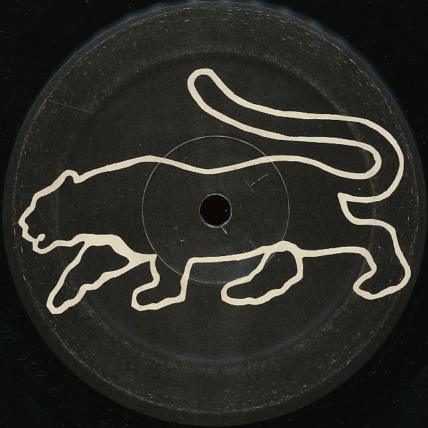 Paris (2) : The Hate That Hate Made (12")