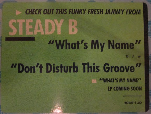 Steady B : What's My Name / Don't Disturb This Groove (12", Promo)