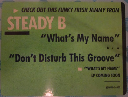 Steady B : What's My Name / Don't Disturb This Groove (12", Promo)
