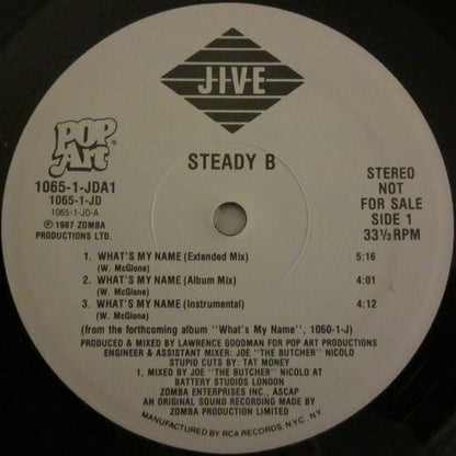 Steady B : What's My Name / Don't Disturb This Groove (12", Promo)