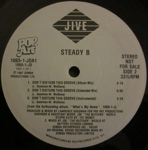 Steady B : What's My Name / Don't Disturb This Groove (12", Promo)
